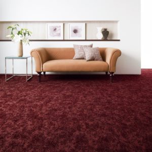 nolan carpets flooring altglan velvet carpet red