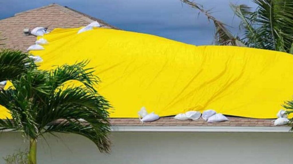 polyshield brand disaster house cover yellow